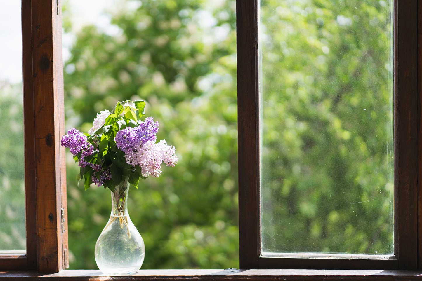 NEW! Spring cottage